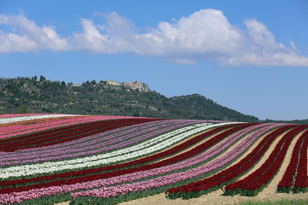 La Petite Grande Διαμέρισμα Lurs Εξωτερικό φωτογραφία